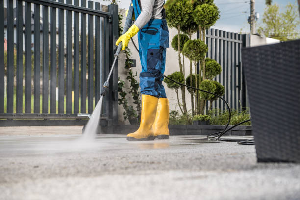 Pre-Holiday Cleaning in Livingston, AL